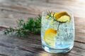 Gin Tonic